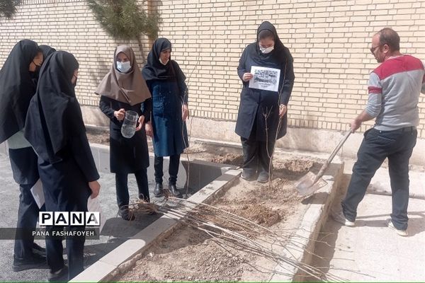 مراسم کاشت نهال در روز درختکاری در مدارس فشافویه