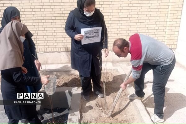 مراسم کاشت نهال در روز درختکاری در مدارس فشافویه