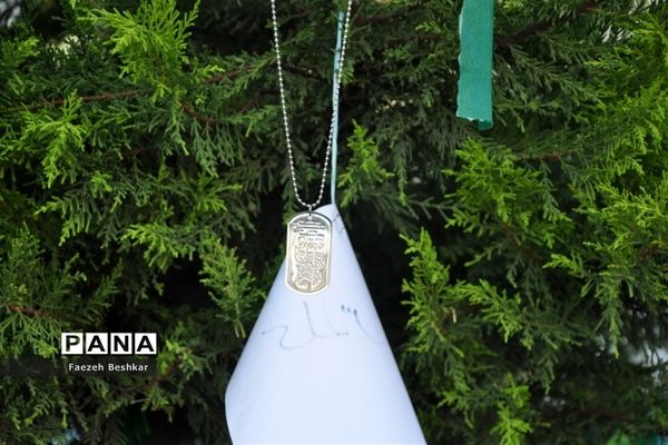 یادواره شهدا در ساری