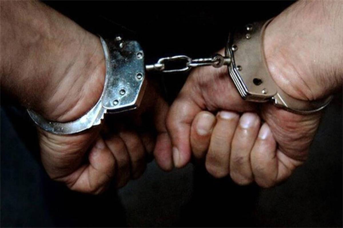 دستگیری ۱۶۸ سارق در شهریار