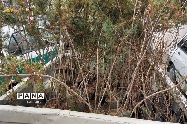 جشن نیکوکاری و تقدیر از دو پدر شهید به مناسبت روز شهدا در نماز جمعه فیروزکوه