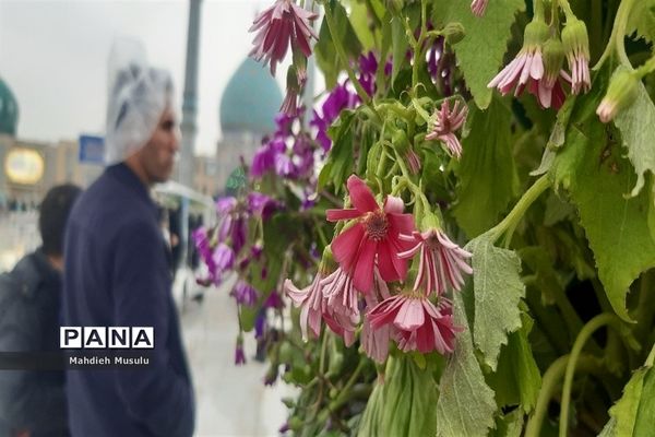 راهپیمایی مردم قم در هوای بارانی مسجد جمکران