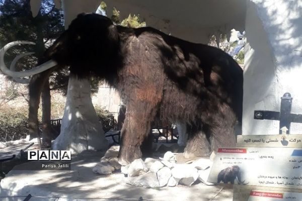 اردوی دانش‌آموزان آموزشگاه شهید آیت یک اسلامشهردر پارک ژوراسیک