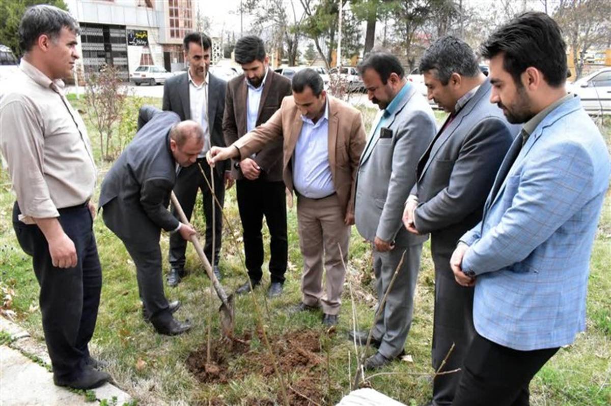 کاشت نهال در محوطه اداره کل آموزش و پرورش کهگیلویه و بویراحمد به مناسبت هفته منابع طبیعی