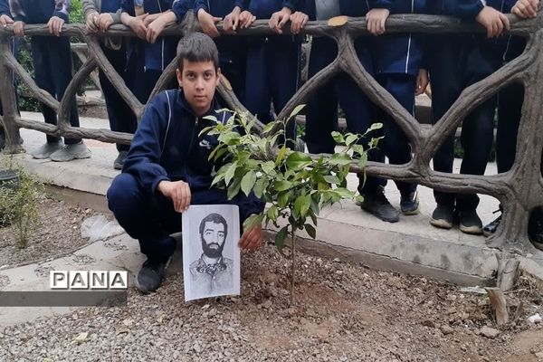 کاشت نهال به یاد شهید متوسلیان در دبستان سید الشهدا ناحیه یک یزد
