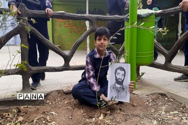 کاشت نهال به یاد شهید متوسلیان در دبستان سید الشهدا ناحیه یک یزد