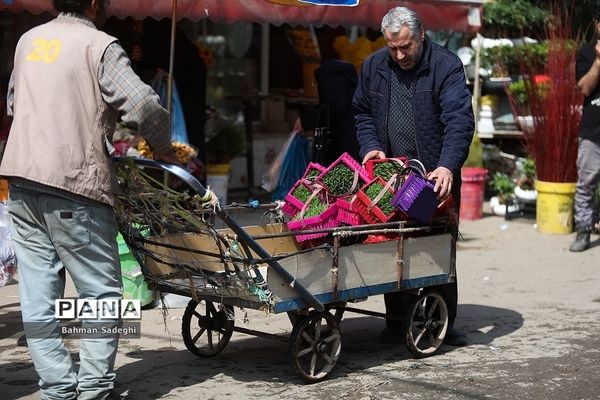 بازار بهاری گل و گیاه در آستانه نوروز