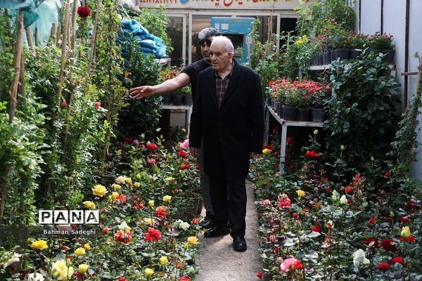 بازار بهاری گل و گیاه در آستانه نوروز