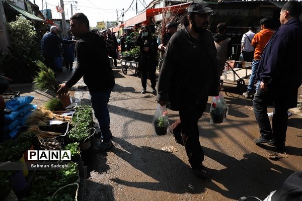 بازار بهاری گل و گیاه در آستانه نوروز