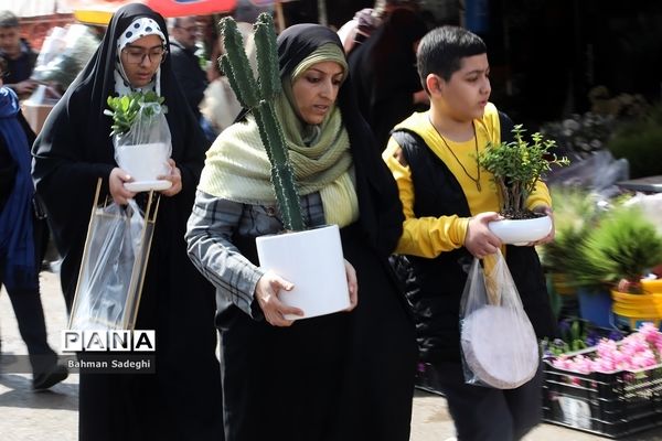 بازار بهاری گل و گیاه در آستانه نوروز