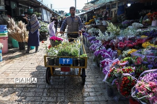 بازار بهاری گل و گیاه در آستانه نوروز