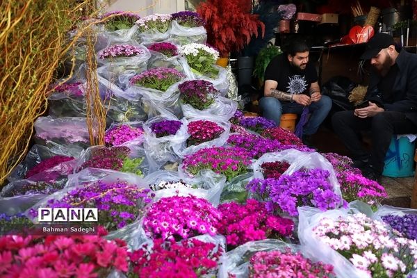 بازار بهاری گل و گیاه در آستانه نوروز