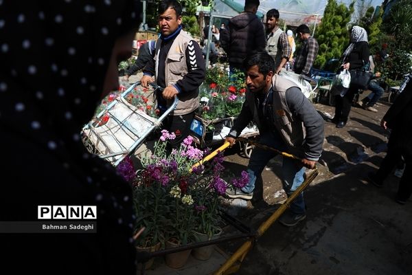 بازار بهاری گل و گیاه در آستانه نوروز