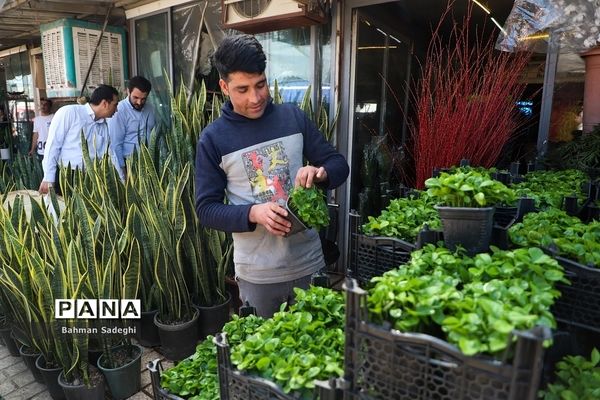 بازار بهاری گل و گیاه در آستانه نوروز