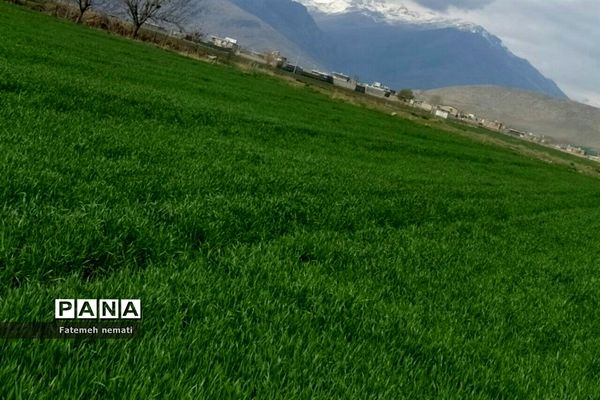 طبیعت زیبای بهاری روستای هندودر اراک