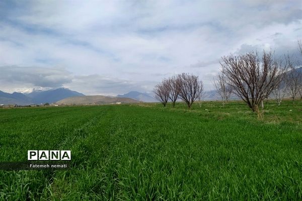 طبیعت زیبای بهاری روستای هندودر اراک