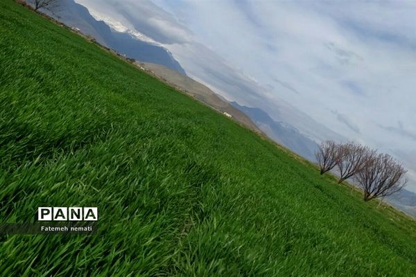 طبیعت زیبای بهاری روستای هندودر اراک