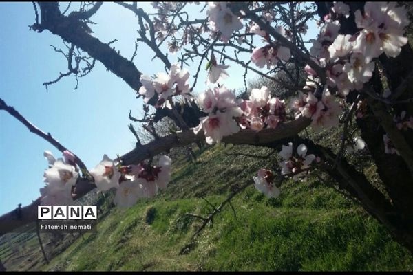 طبیعت زیبای بهاری روستای هندودر اراک