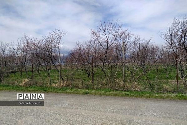 طبیعت زیبای بهاری روستای هندودر اراک