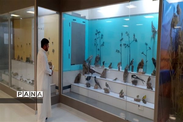 تالاب بین المللی شادگان پذیرای میهمانان نوروزی