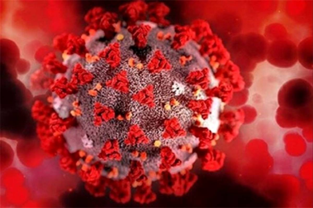 تازه‌ترین وضعیت رعایت پروتکل های بهداشتی مقابله با ویروس کرونا