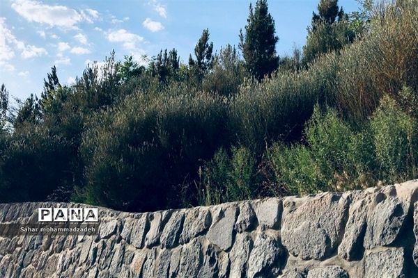 سد اَمَّند، سد خاکی در شمال غربی شهر تبریز