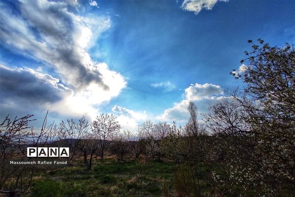 طبیعت و بهار دل انگیز در  روستای آبقد