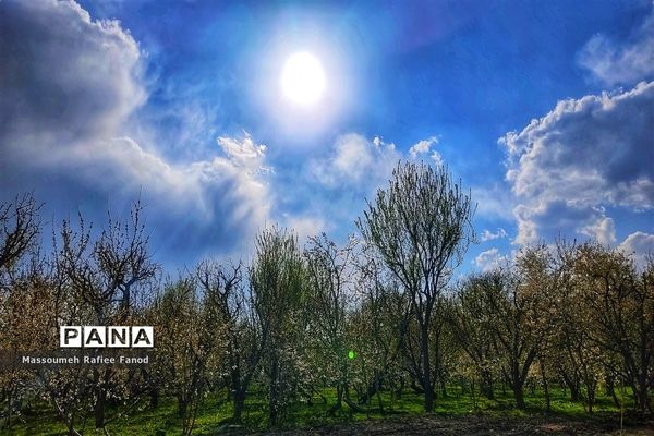 طبیعت و بهار دل انگیز در  روستای آبقد