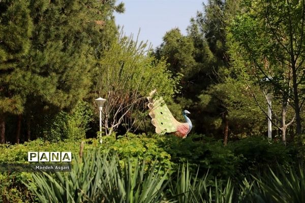 «بوستان فدک» استراحتگاهی خاطره انگیز برای مسافران نوروزی در قم