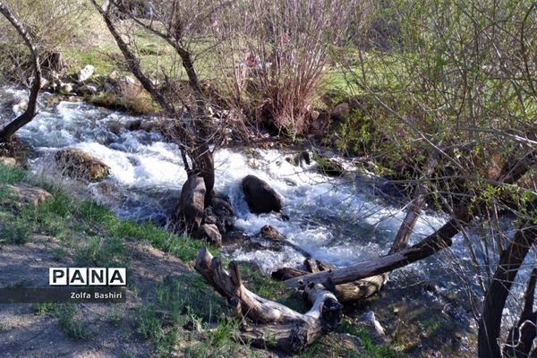 سراب سنقر در استان کرمانشاه