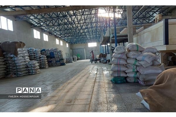 بازدید علمی از کارخانه برنج در شمال ایران