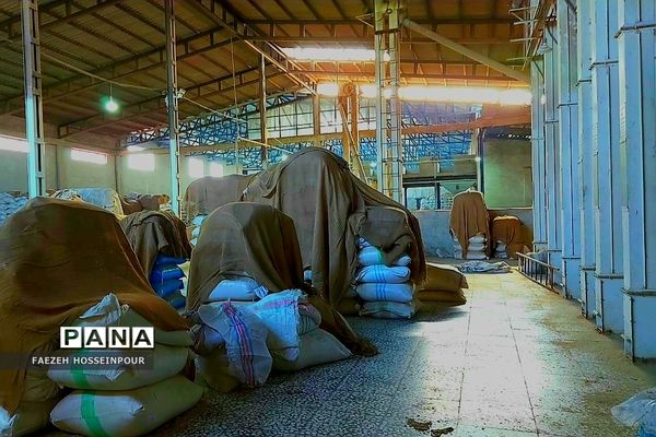 بازدید علمی از کارخانه برنج در شمال ایران