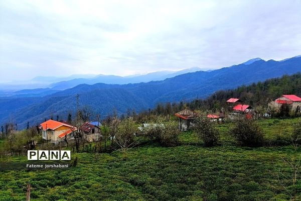 روستای بالابند، روستای سرسبز استان مازندران