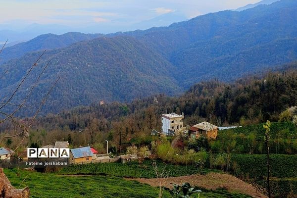 روستای بالابند، روستای سرسبز استان مازندران