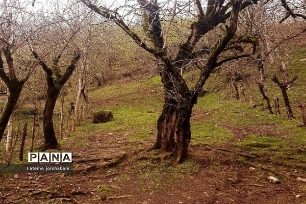 روستای بالابند، روستای سرسبز استان مازندران