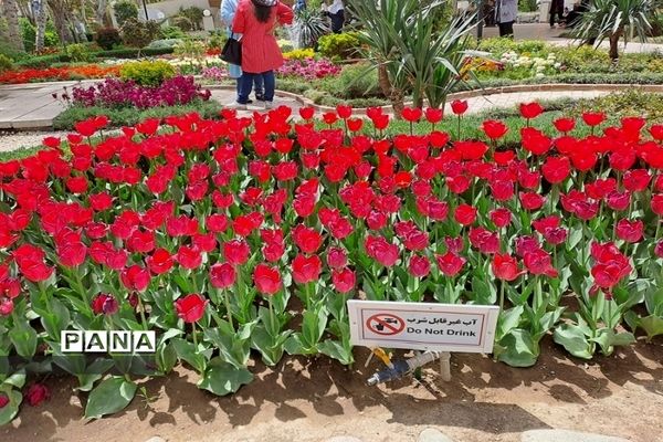 بازدید دانش‌آموزان دبیرستان سیزده آبان ناحیه یک کرج از جشنواره لاله ها