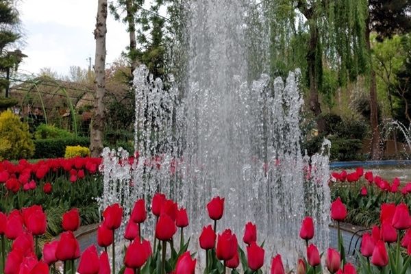 برگزاری نهمین جشنواره لاله‌ها در کرج