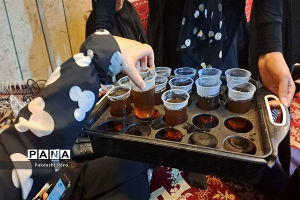 برگزاری مراسم احیای شب قدر در شهرستان پاکدشت