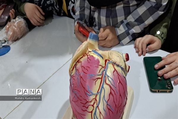 کارگاه تشریح قلب در پژوهشسرای دخترانه خوارزمی پاکدشت