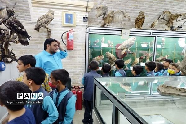 بازدید دانش‌آموزان دبستان قاسم(ع) ناحیه یک از موزه علوم طبیعی یزد