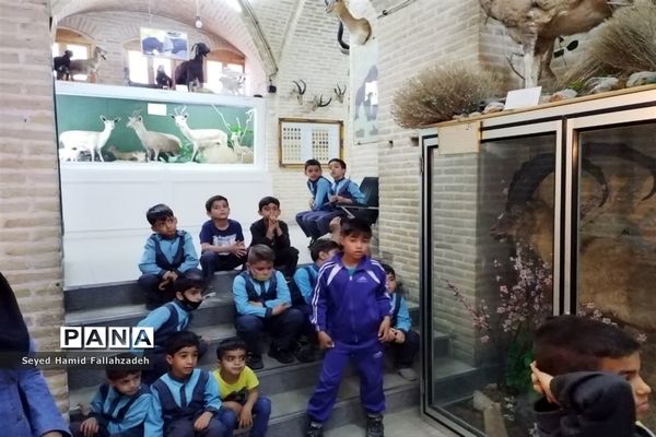 بازدید دانش‌آموزان دبستان قاسم(ع) ناحیه یک از موزه علوم طبیعی یزد