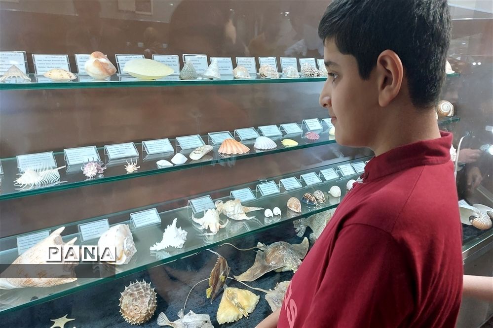 برگزاری کارگاه آشنایی با شهاب سنگ ها در پارک موزه علوم زمین مشهد
