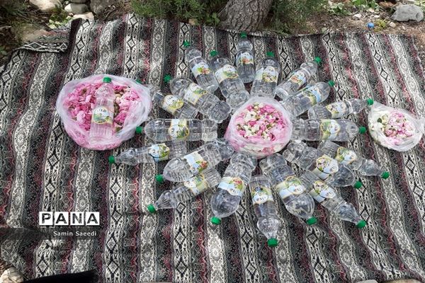 جشنواره گل و گلاب میمند فارس