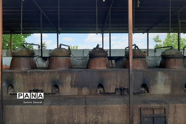 جشنواره گل و گلاب میمند فارس