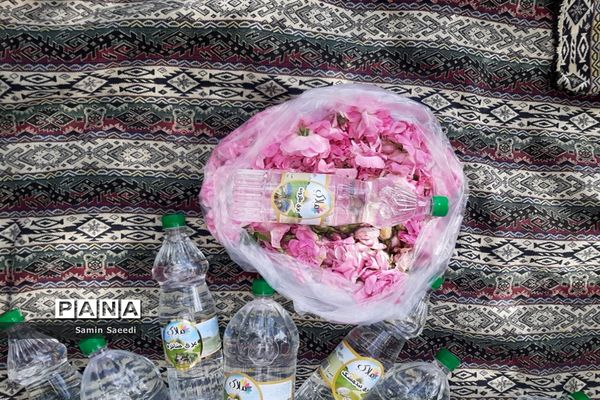 جشنواره گل و گلاب میمند فارس