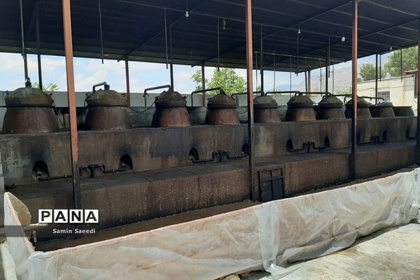 جشنواره گل و گلاب میمند فارس