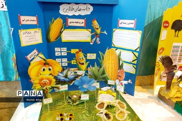 افتتاح نمایشگاه منطقه‌ای طرح جابربن حیان در دبستان آزاده شهرستان بهبهان