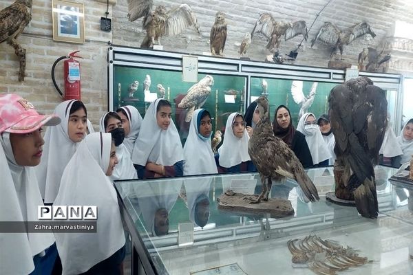 اردوی یک روزه دانش‌آموزان دبستان دخترانه زکیه مروست