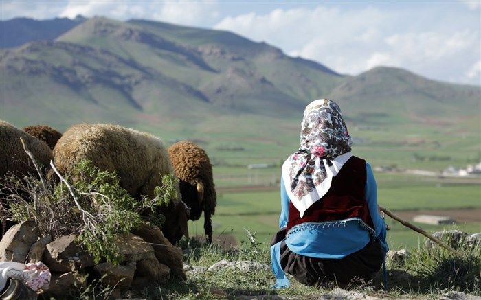 «دشت می‌خواند» به تدوین رسید