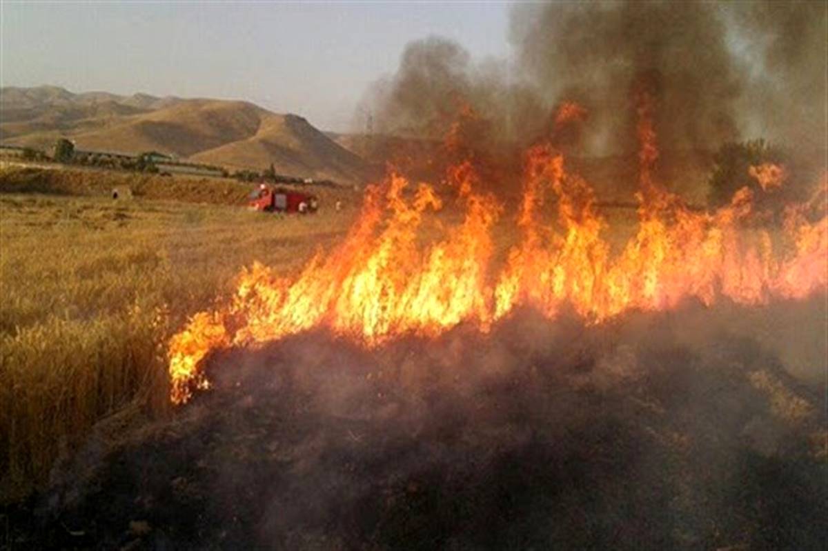 صدور ۴ دستور قضایی درخصوص حادثه آتش‌سوزی جنگل‌های مریوان